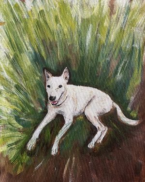 The Happy Dog of the Hills