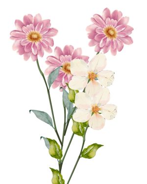 Twofold Beauty Art