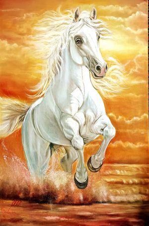 The Freedom