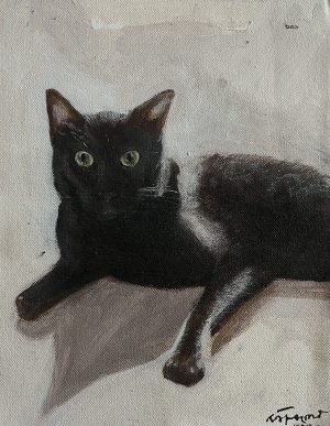 Kalu the Cat