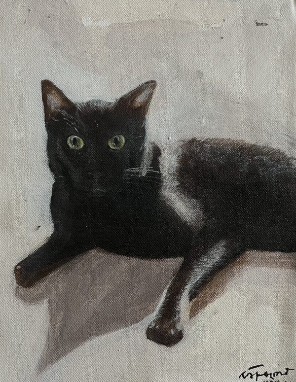 Kalu the Cat