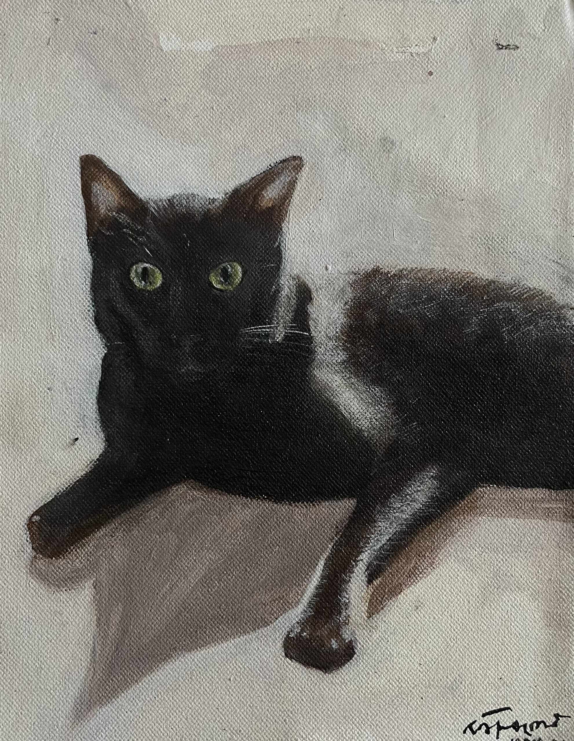 Kalu the Cat