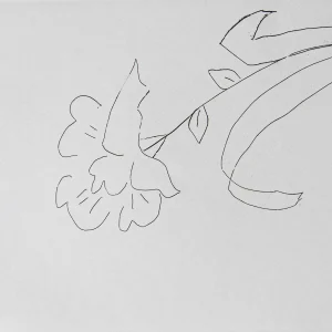 Flower for Peace