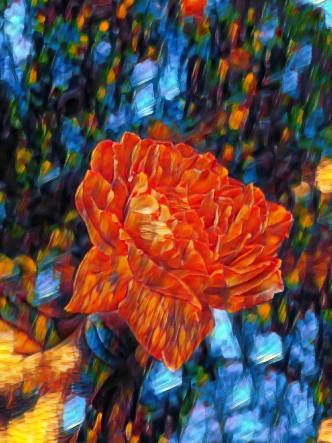Beautiful Orange Rose Art